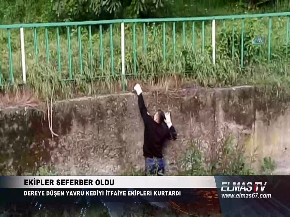Zonguldak'ta itfaiye ekipleri yavru kedi için seferber oldu