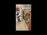 5-Year-Old Has Sweet Bond With Foal