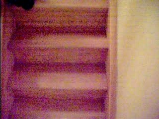 Whity joue avec une boulette d'allu dans l'escalier