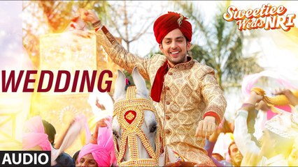 Wedding Full Audio Song Sweetiee Weds NRI 2017 Himansh Kohli Zoya Afroz Palash Muchhal