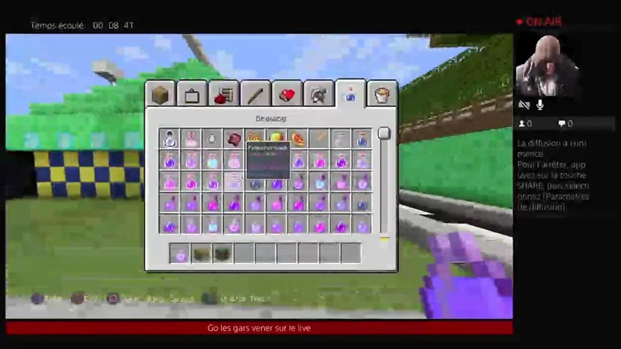Petit live sur minecraft (2)