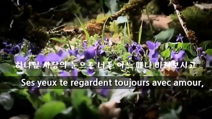 Regarde seul Jésus Christ.