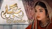 Sangsar Episode 40 HUM TV 26 May 2017