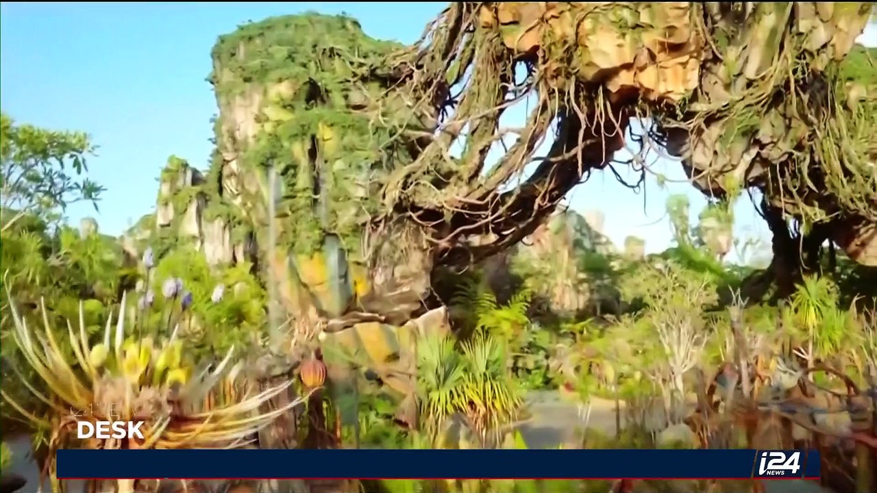 i24NEWS DESK | Jordanian women fight or their place in class | Friday, May 26th 2017