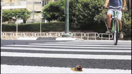 Good fitness apps for the best home workout