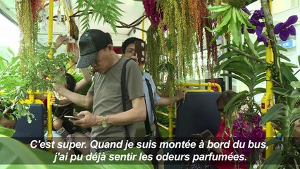Taïwan: un bus “forêt” séduit les passagers de Taipei