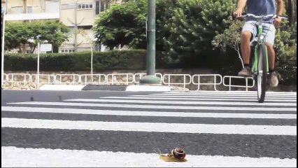 Best workout apps for iphone