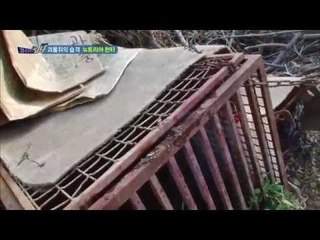 괴물쥐의 습격, 뉴트리아 헌터