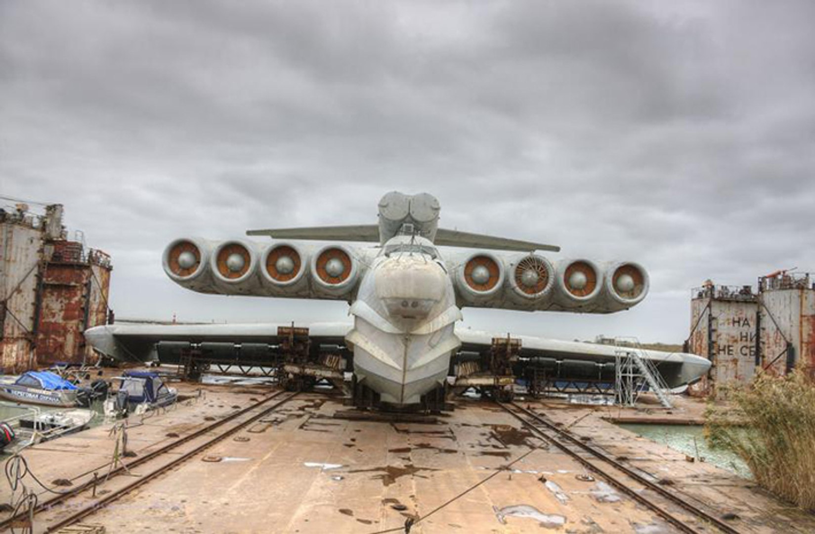 ⁣Russian  Duck