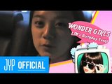 [Real WG] Wonder Girls - Lim's Birthday Event
