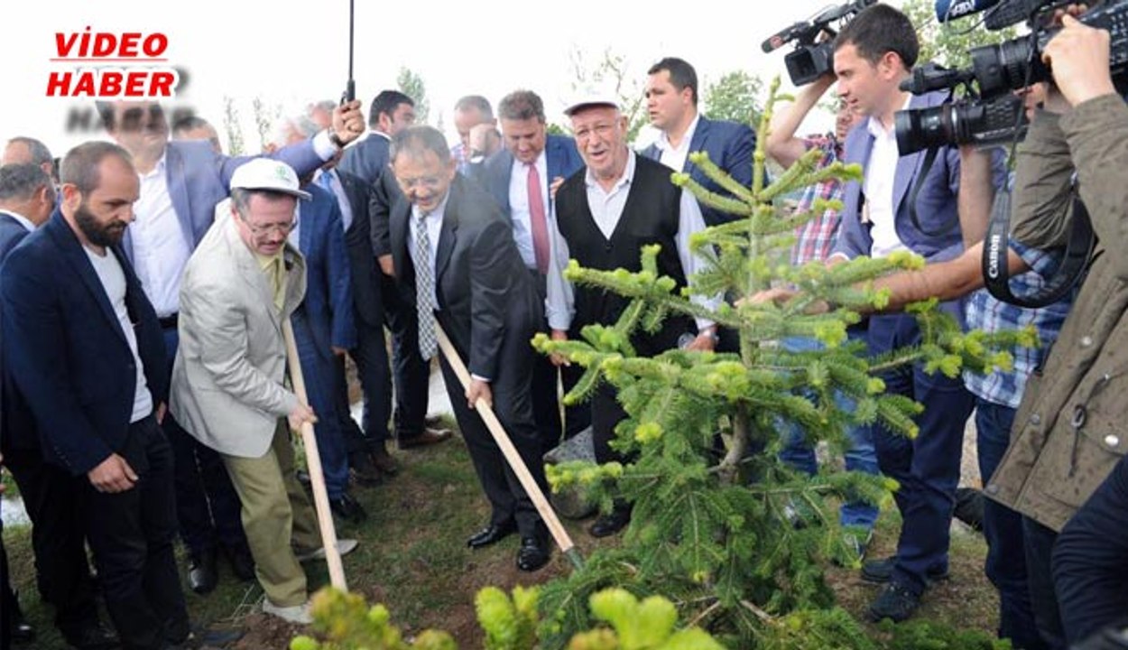 (26 MAYIS 2017) 248 ŞEHiDE, 248 BiN FiDAN.  BAKAN  ÖZHASEKİ  ‘15 TEMMUZ  ŞEHİTLERİ’ ANISINA FİDAN DİKTİ