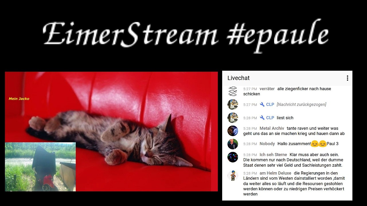 #eimer #stream mit #chat Part 3