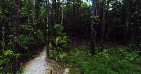 GUYANE, LE DIAMANT VERT, VU DU CIEL [4K] !!!