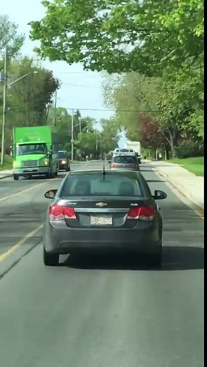 Un écureuil est caché à l'arrière de cette voiture en route !