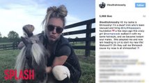 Kaley Cuoco Adopts New Mini Pony Named Schmooshy
