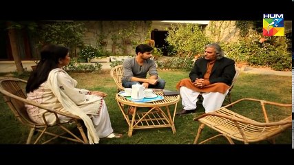 Dil e Jaanam Episode 13 Hum TV Drama - 26 May 2017