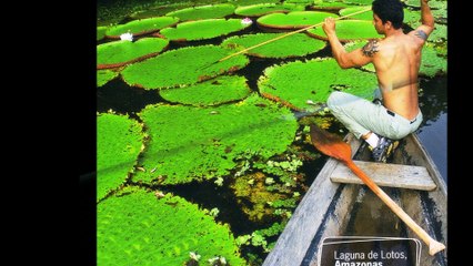 A COLOMBIA, CON AMOR - POEMA DE VERANO BRISAS