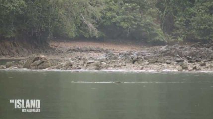 The Island : Les candidats se retrouvent encerclés par les crocodiles, la vidéo choc !