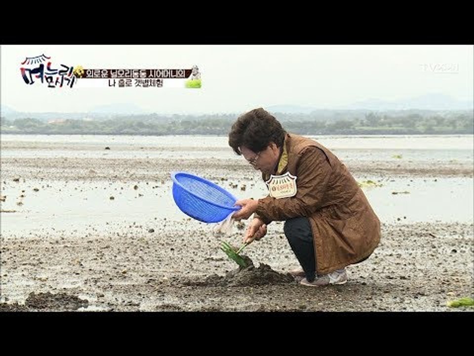 며느리 뺏기고 홀로 쓸쓸히 남은 시어머니 [며느리 모시기] 6회 20170526