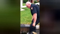 Usa, poliziotto salva un piccolo cerbiatto intrappolato in una fogna