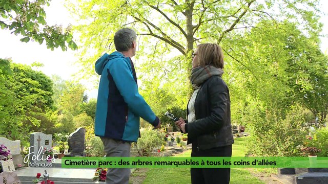 Folies Botaniques au Cimetière Parc #4 : arbres remarquables