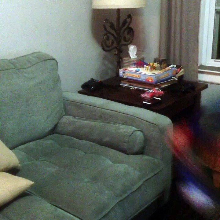 dem flips