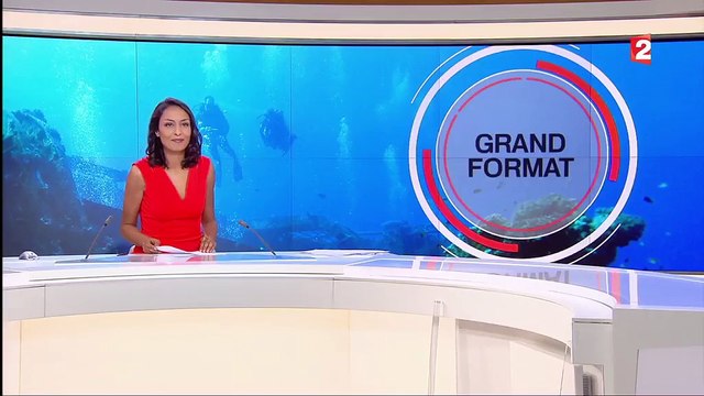 Grand format : chasseurs d'épaves