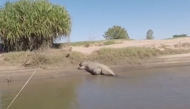 Giant Crocodile Scares Fishermen in Western Australia