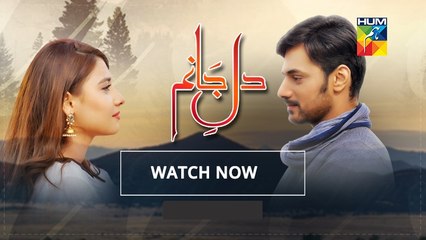 Dil e Jaanam Episode 13 Full 26 May 2017 Hum TV Drama