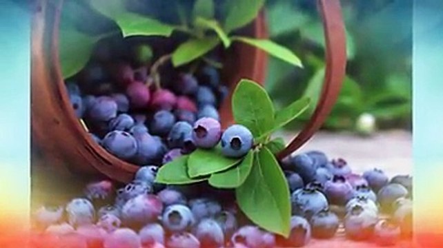 Beneficios del arándano