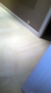 Dr Steamer Carpet & Upholstery Cleaning 305-396-8776