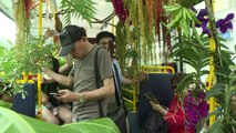 Un autobús lleno de plantas encanta a los pasajeros en Taiwán