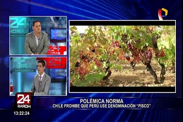 Presidente del Comité de Pisco: “La posición de Adex es no participar en el concurso”