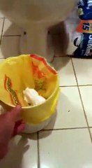 This dog trying to hide his guilt is just too adorable