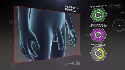 Progentra - Best Male Enhancement Pills