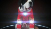 犬版『ドクター・ストレンジ』特別映像-sNo_VjSYbUc