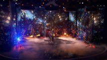 AcroArmy - Acrobats Fly Higher Than a Tree Topper - America's Got Talent 2