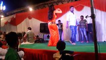 कल नेवान सीलपैक बा जवानी .Live hot bhojpuri dance arkesta. Kla newan sil paik ba jawni.