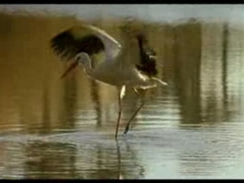 Nomadas Del Viento 11