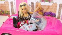 Barbie Shopping Clothes & Accessories Barbie Compras Roupas e Acessóriosباربى تتسوق الملابس