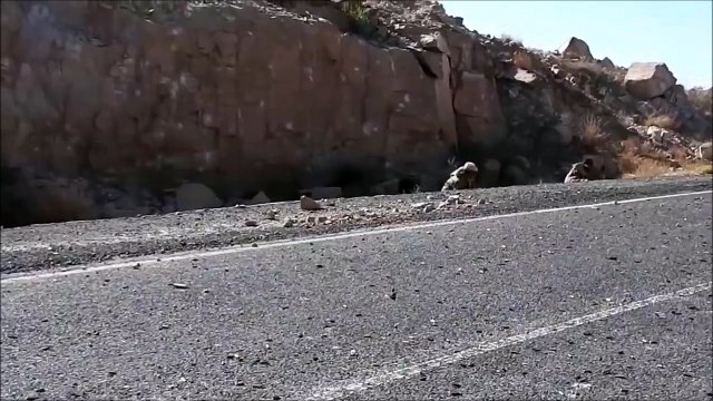 Ce soldat a une drole de manière de tirer avec son fusil