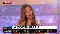 La zoothérapie : se soigner grâce à la présence d'animaux