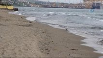 Tekirdağ'da Mavi Bayraklı Plaj Sayısı 4'e Yükseldi