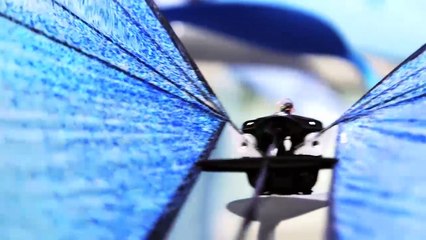 8 ADVANCED ROBOTS ANIMAL YOU NEED TO SEE[1]