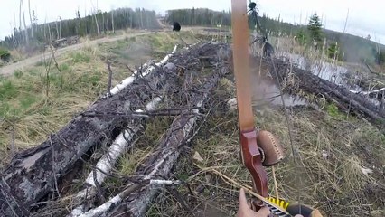 Ce chasseur se retrouve face à un gros ours noir très agressif
