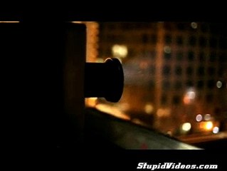 Giant Shadow Puppets