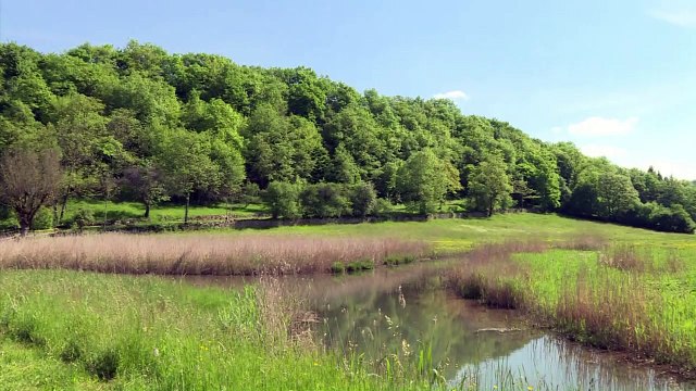 France: un premier parc national dédié à la forêt en 2019