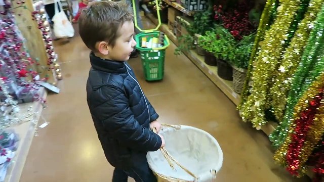 VLOG - SHOPPING de NOËL & Petits Animaux Mignons à BOTANIC