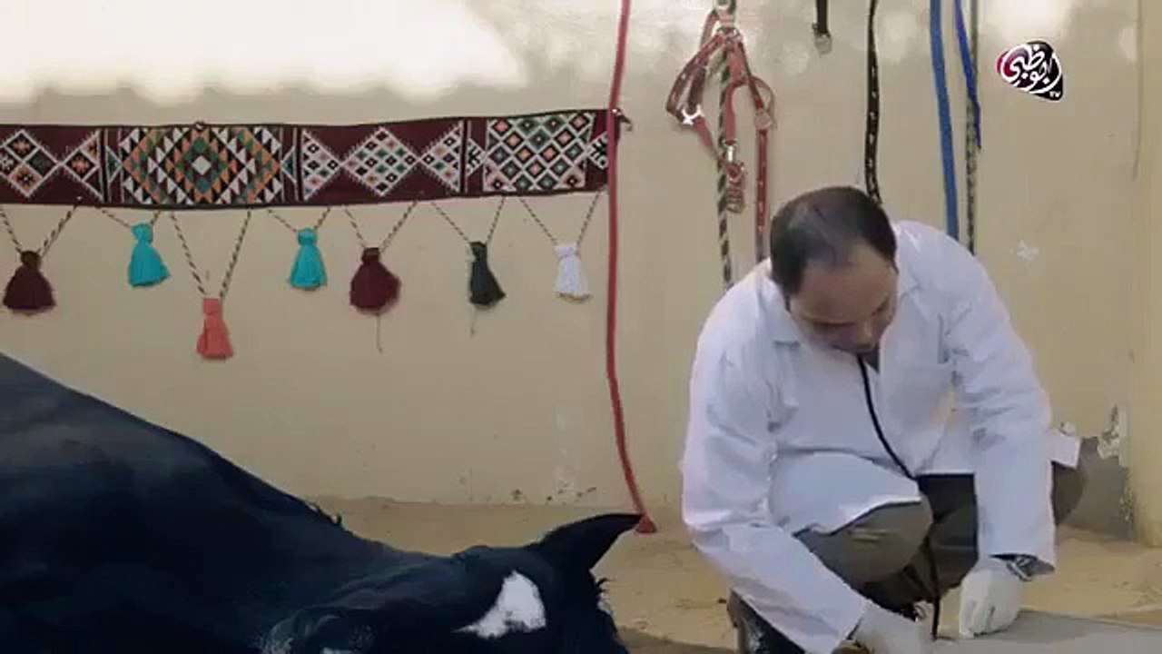 مسلسل قلبي معي الحلقة 1 الاولى كاملة