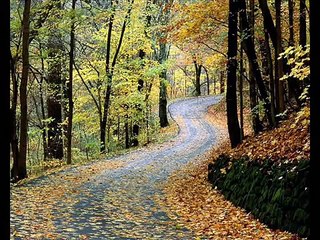 Tchaikovsky Waltz of the Flowers